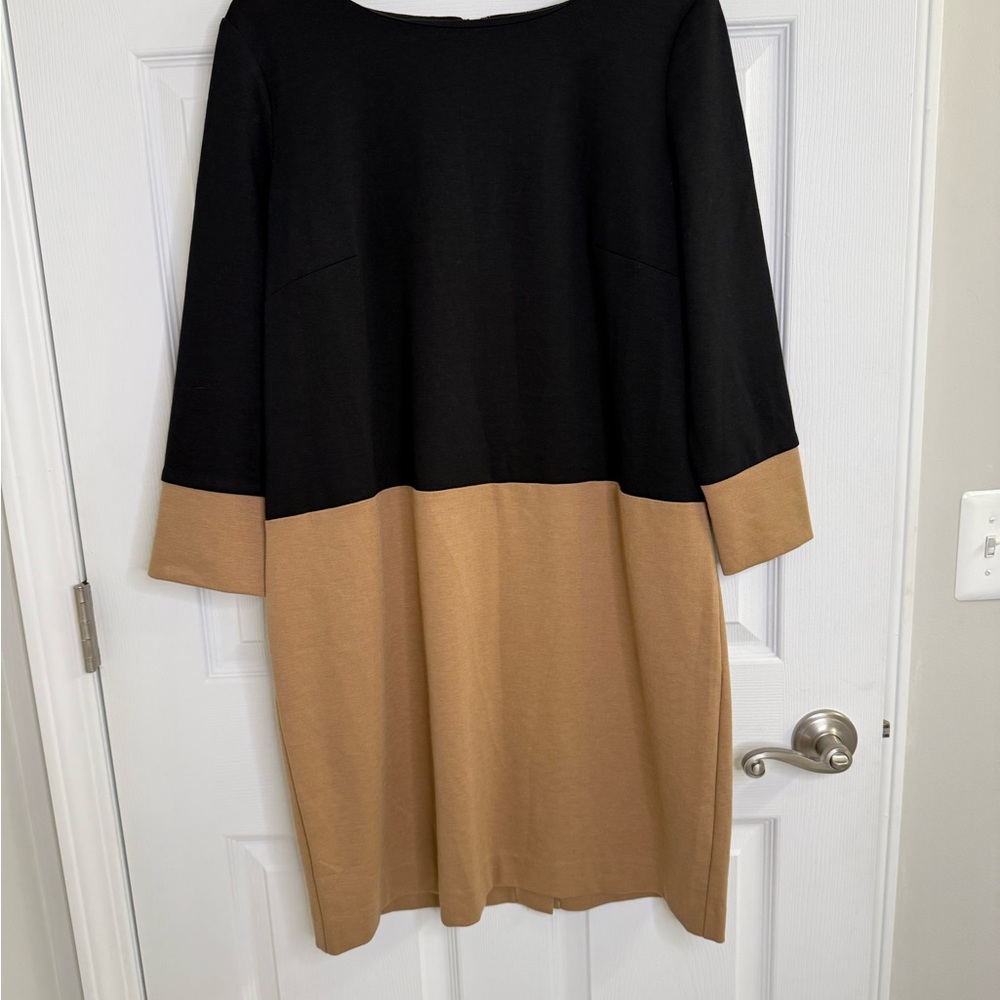 Spiegel Black and Tan 3/4 Sleeve Dress